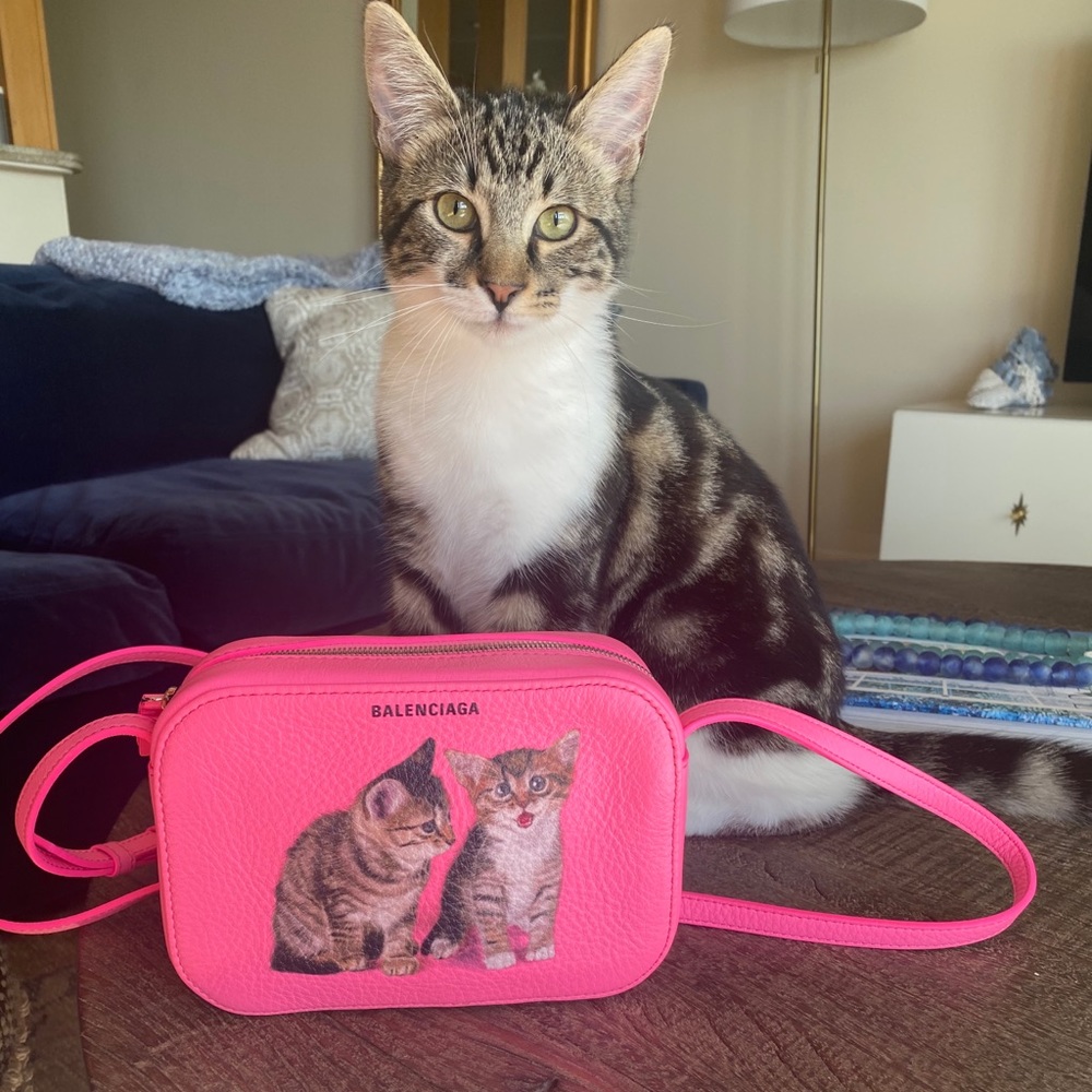 Balenciaga Kitten camera bag